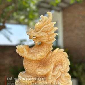 tuong rong20cm