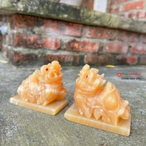 cap ty huu phong thuy1