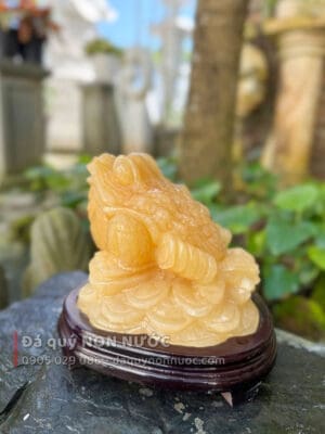 Cóc may mắn