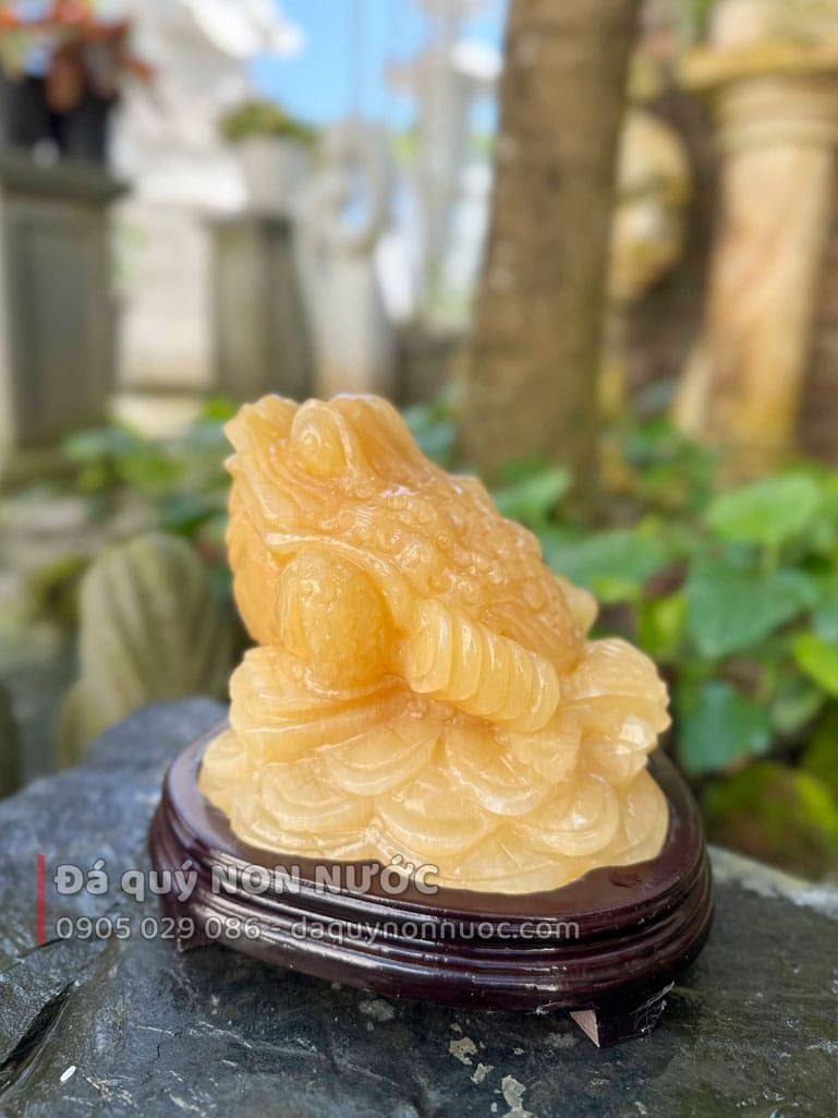 Cóc may mắn
