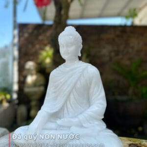 thich ca 25cm