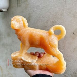 tuong cho da 1