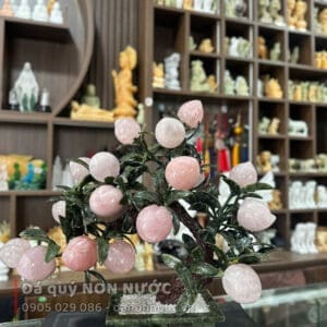cay dao phong thuy 1